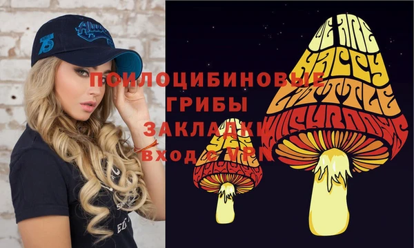 крисы Белокуриха