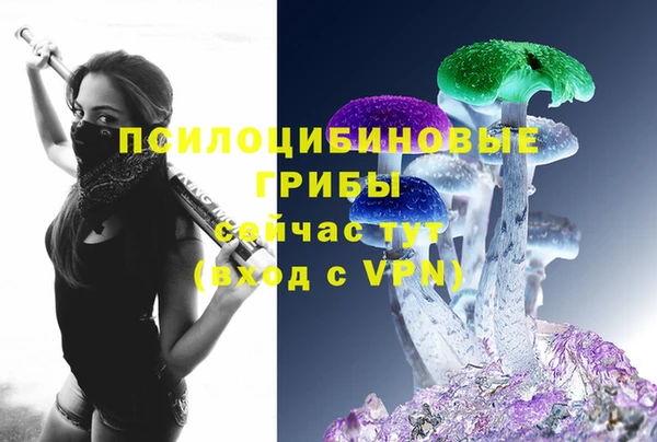 крисы Белокуриха