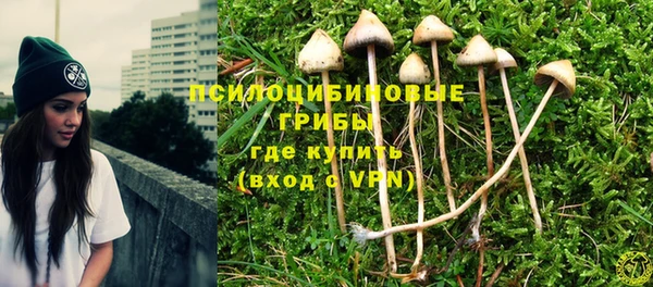 крисы Белокуриха