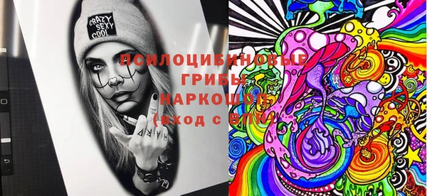 крисы Белокуриха