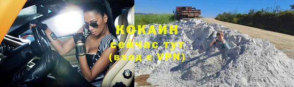 крисы Белокуриха