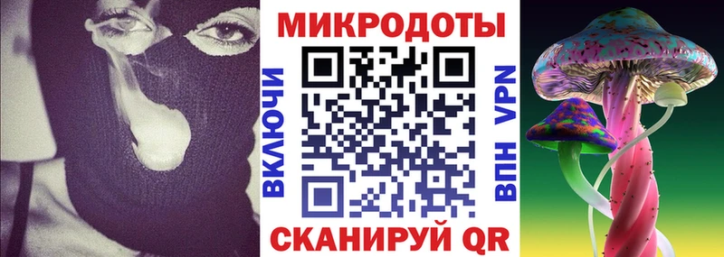Галлюциногенные грибы мицелий где найти Щёкино